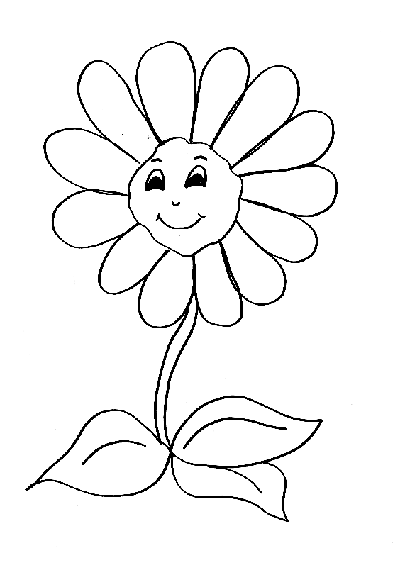 Flores #27657