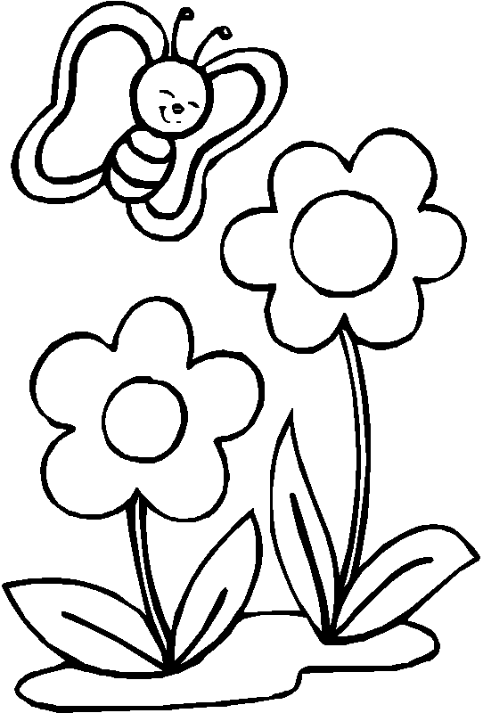 Flores #27660