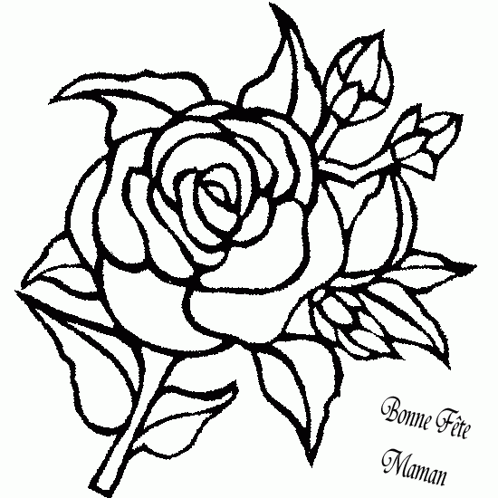 Flores #27667
