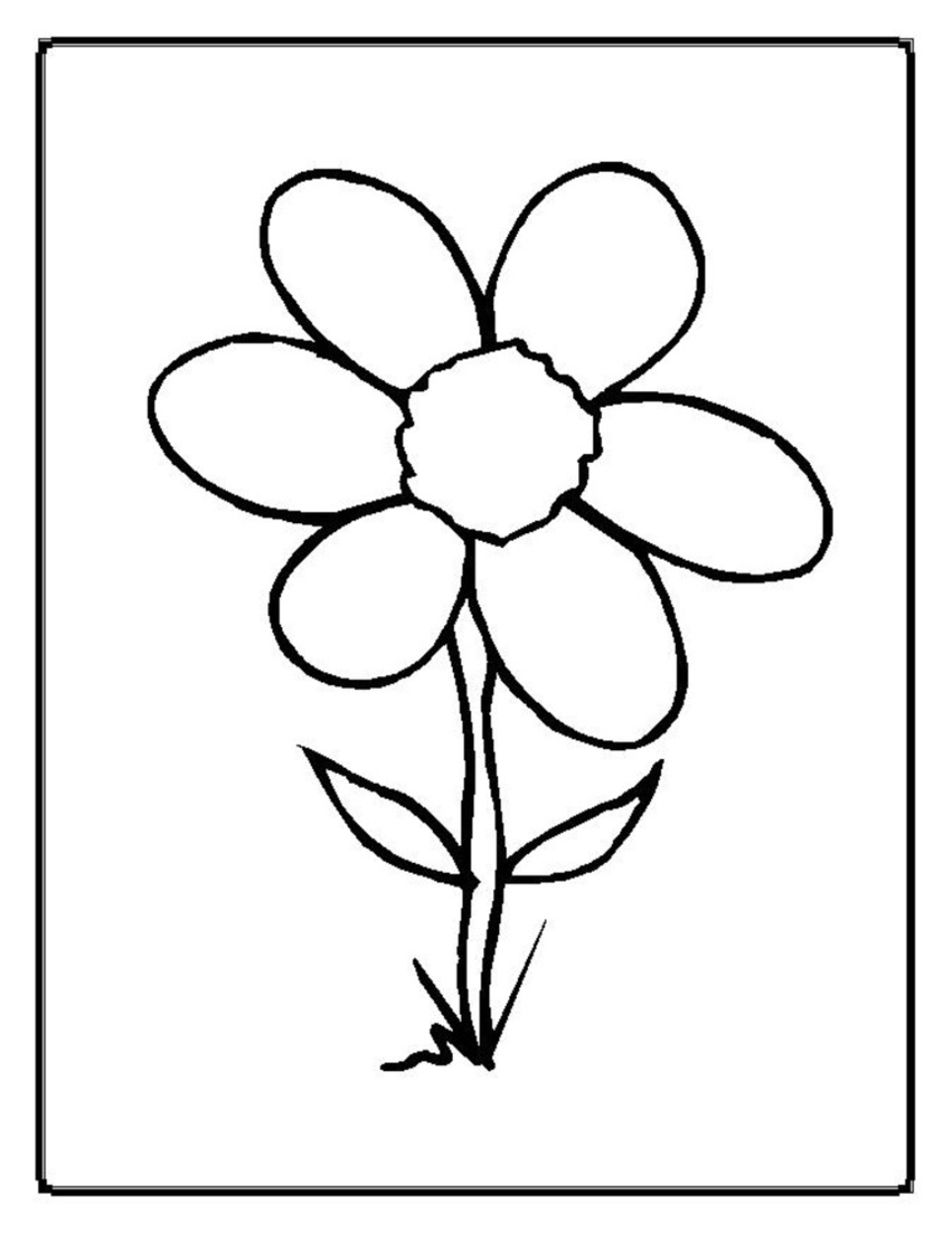 Flores #27673