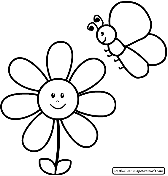 Flores #27677