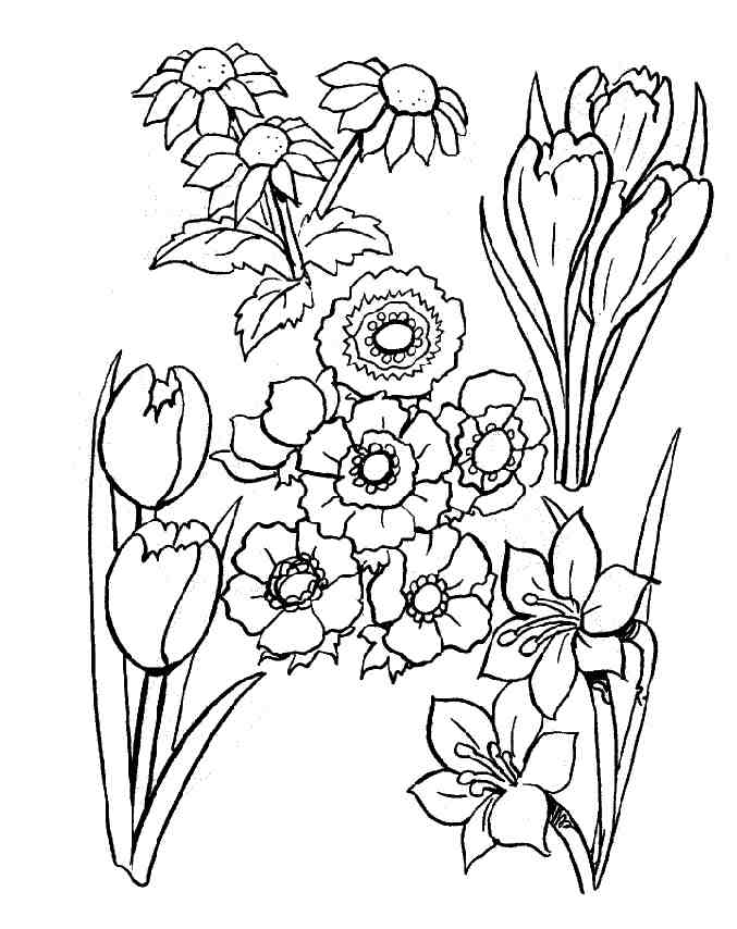 Flores #27679