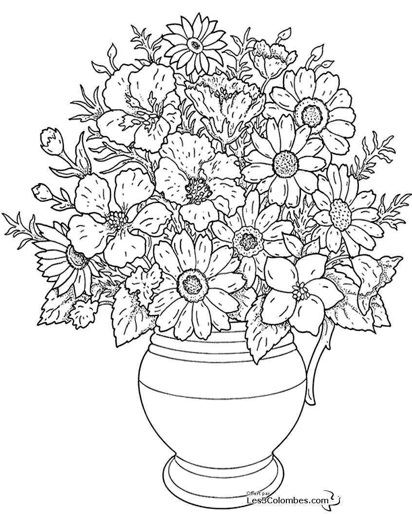 Flores #27685