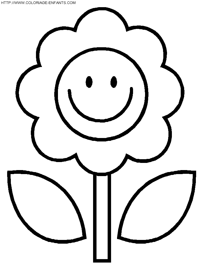 Flores #27686