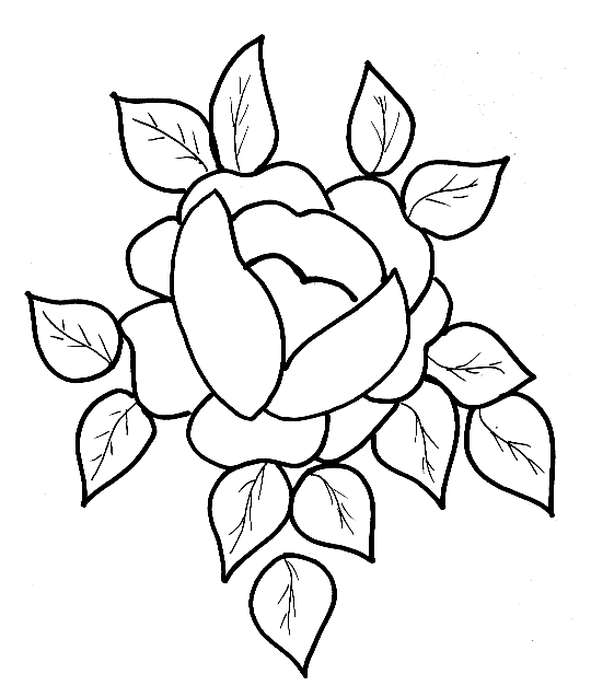 Flores #27698