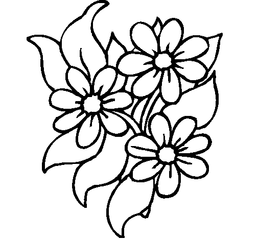 Flores #27704