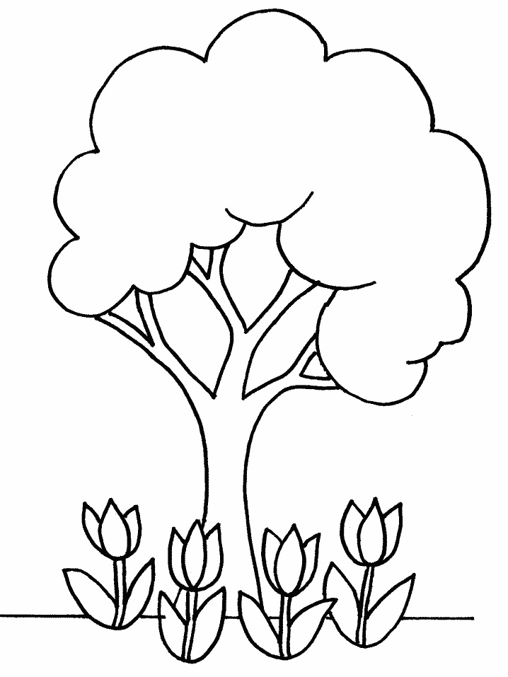 Flores #27707