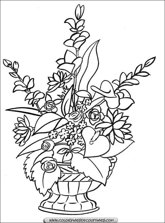Flores #27708