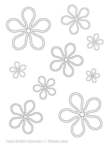 Flores #27711