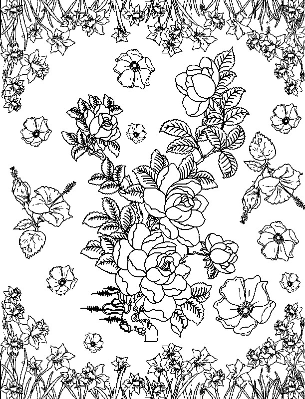 Flores #27720