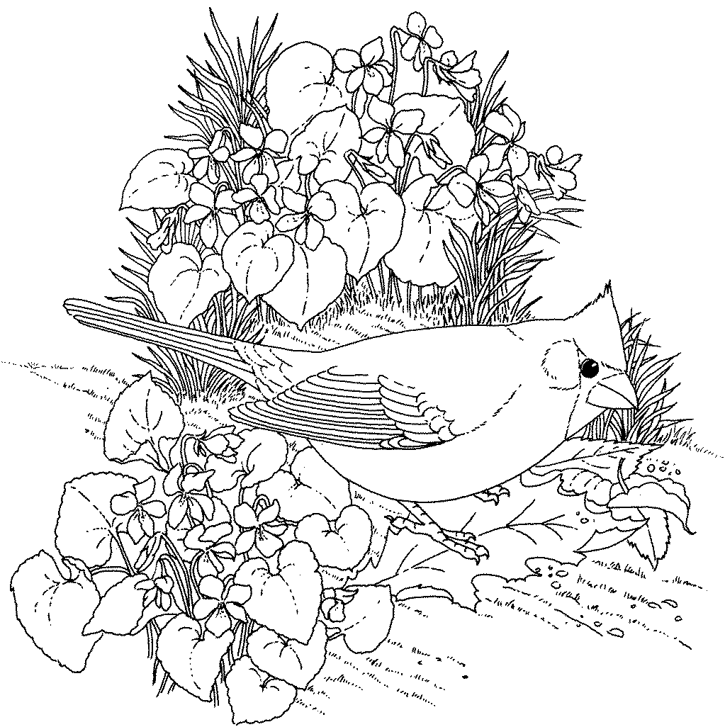 Flores #27725