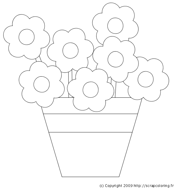 Flores #27742