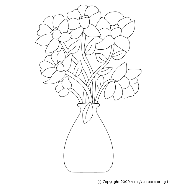 Flores #27746
