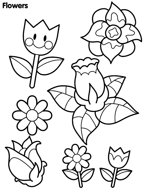 Flores #27755