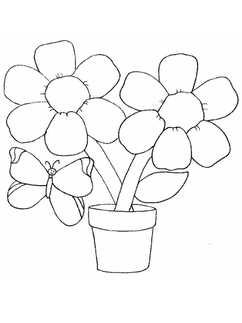 Flores #27759