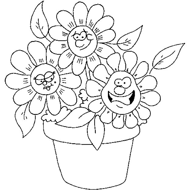 Flores #27763