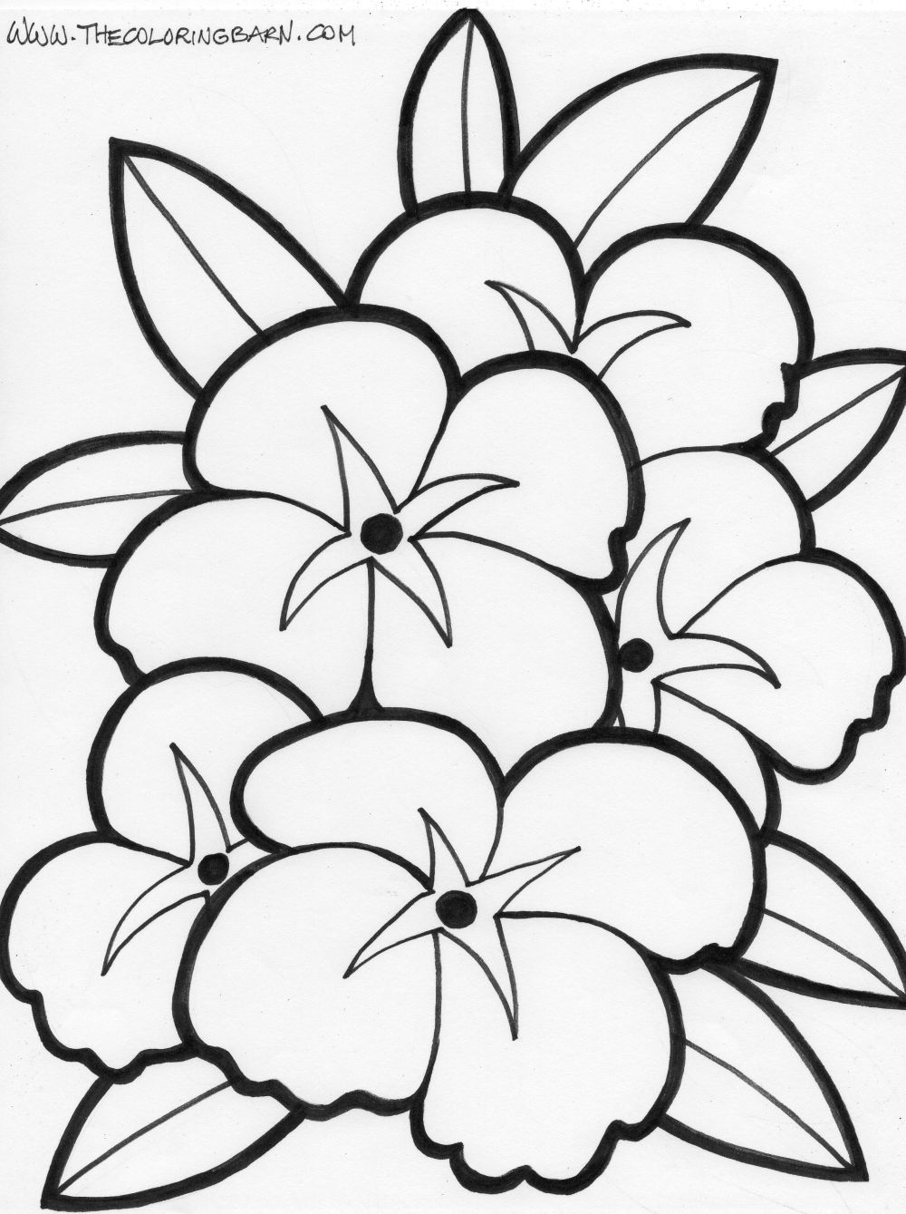 Flores #27766