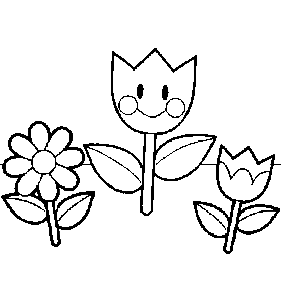 Flores #27774
