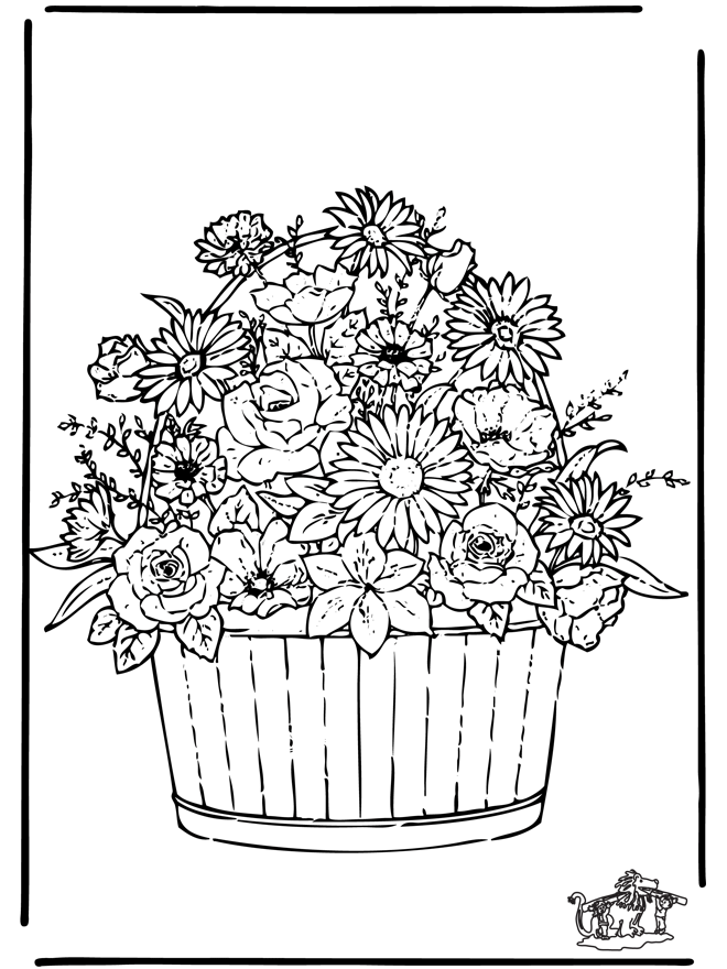 Flores #27776