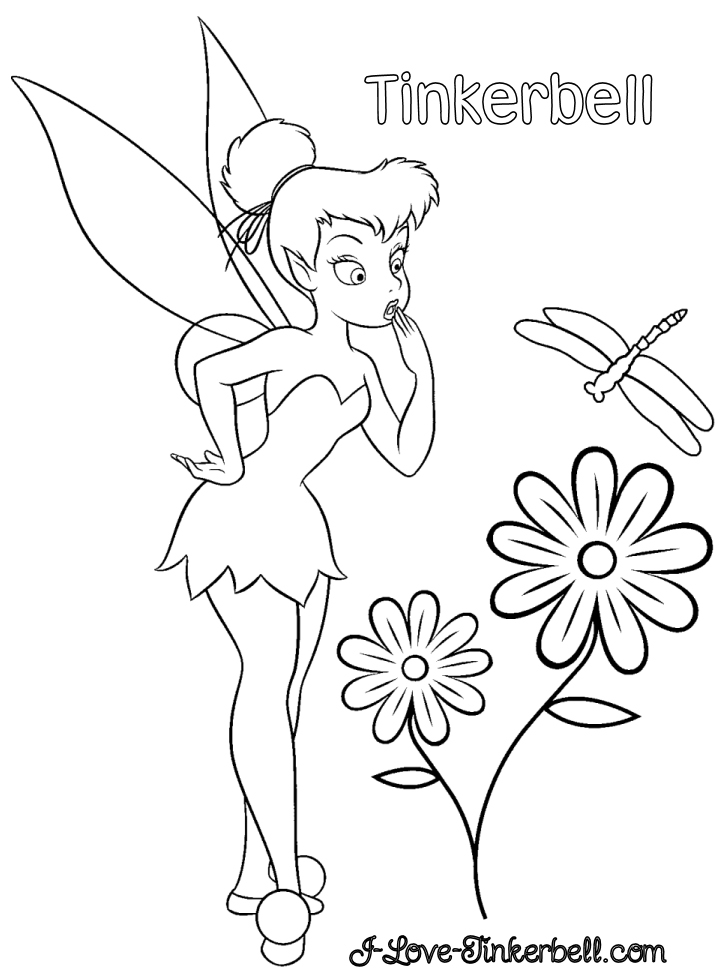 Flores #27781
