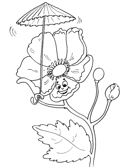 Flores #27782