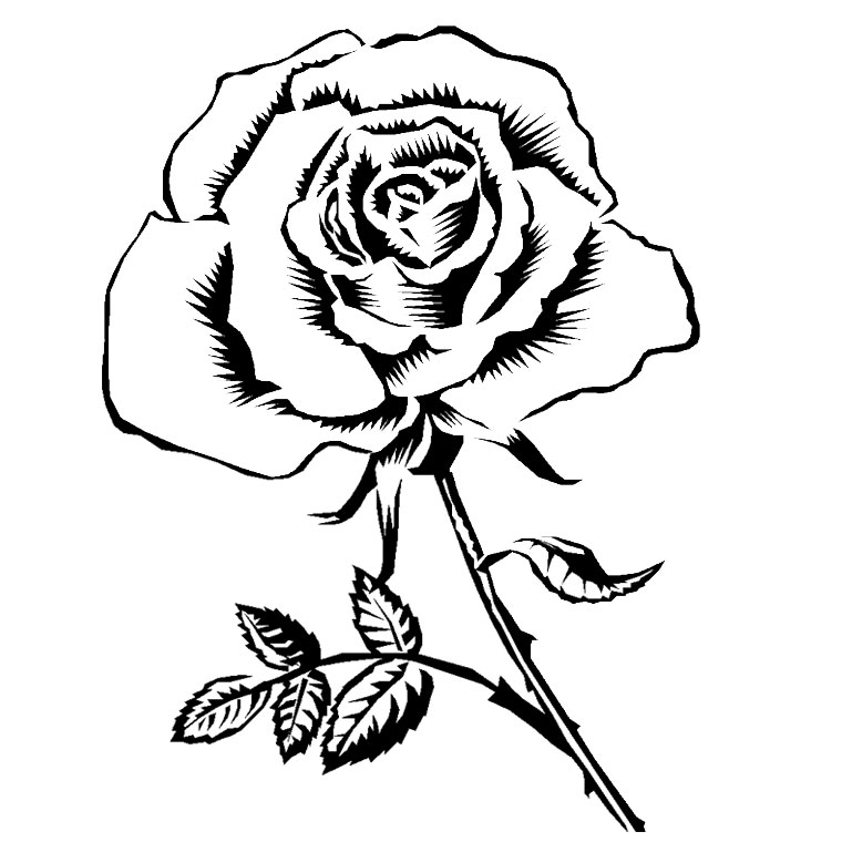 Flores #27783