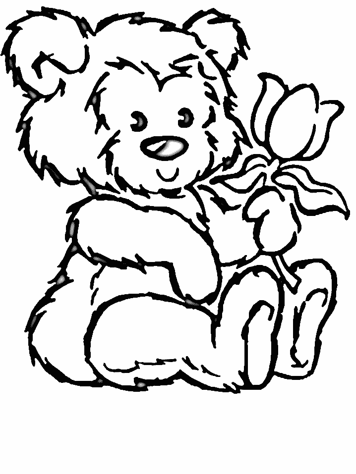 Flores #27791