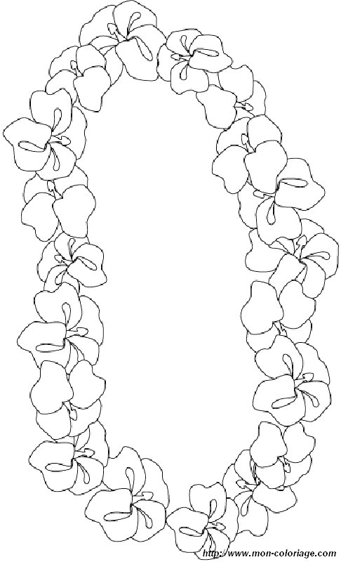 Flores #27796