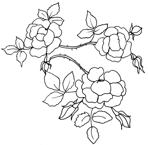 Flores #27800