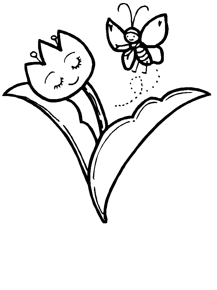 Flores #27801