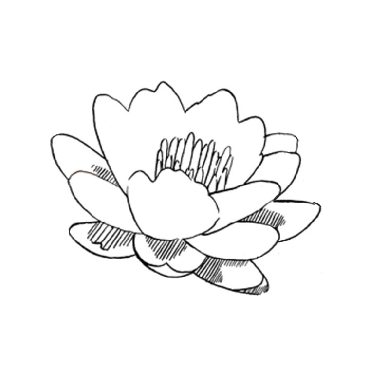 Flores #27813