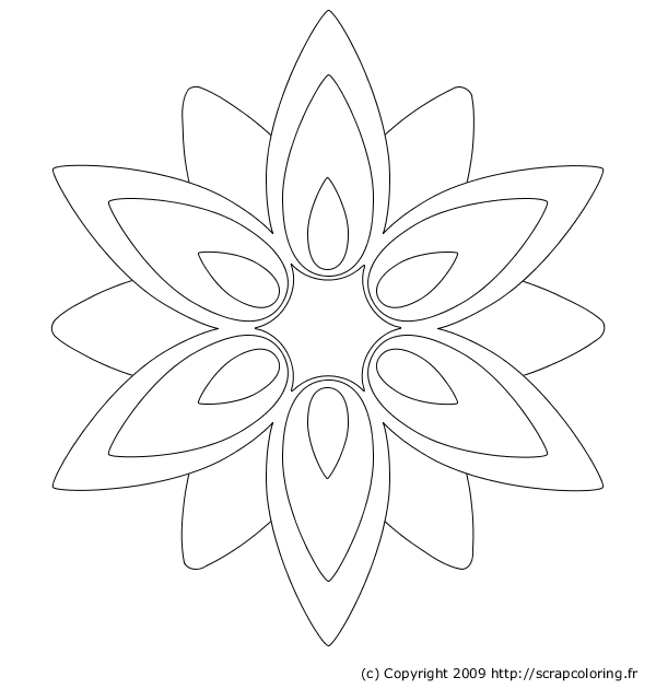 Flores #27817