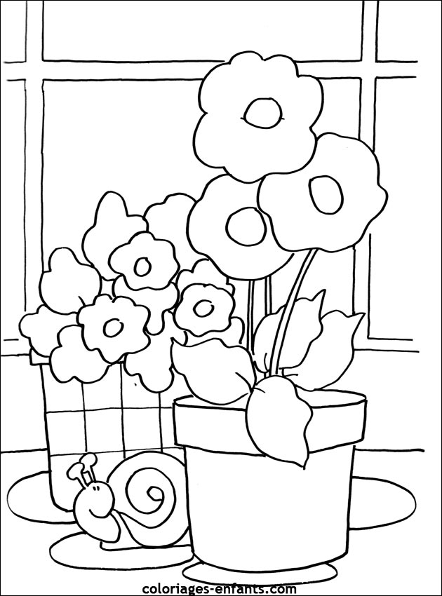 Flores #27821