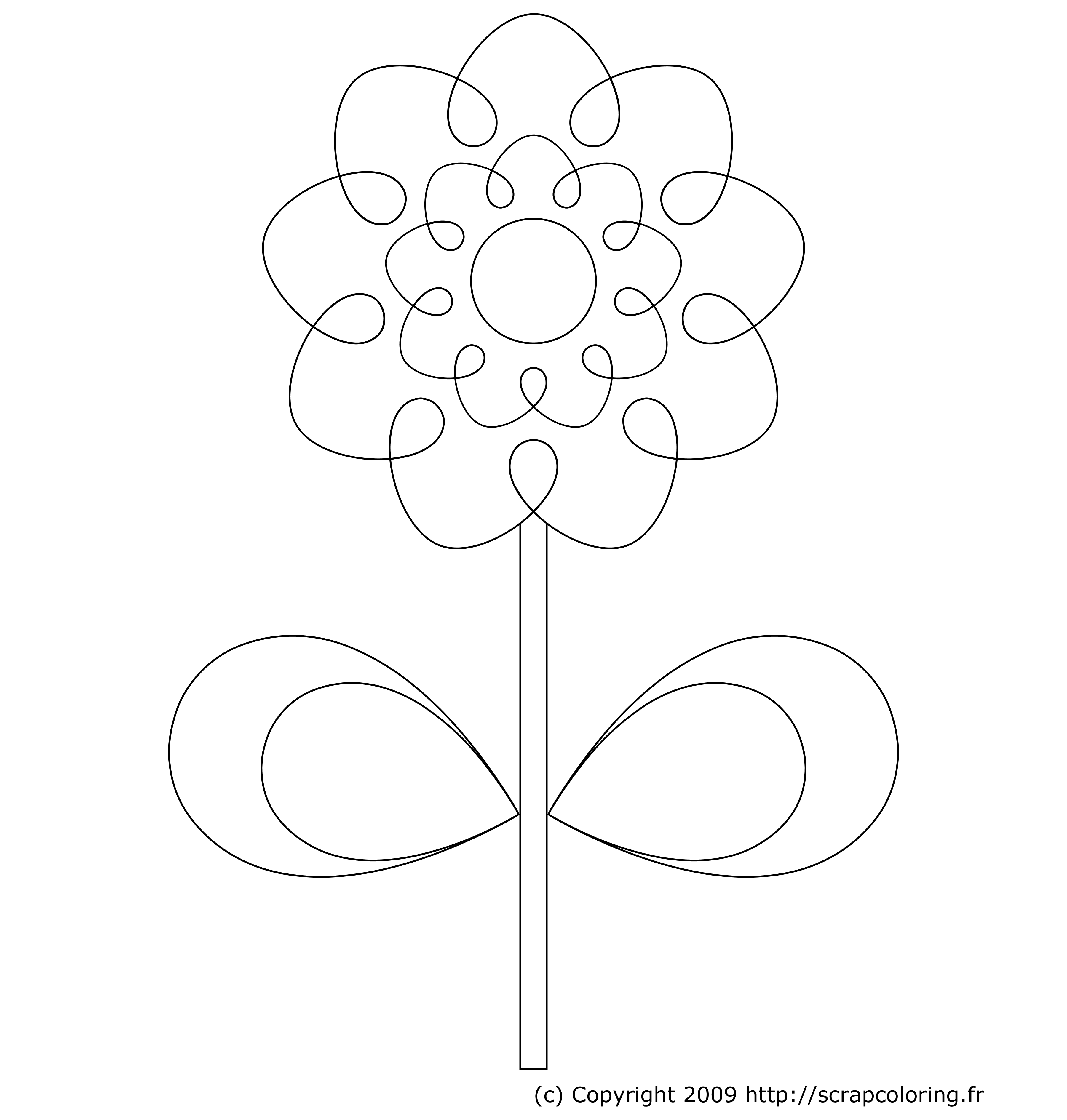 Flores #27828