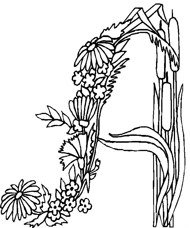 Flores #27833