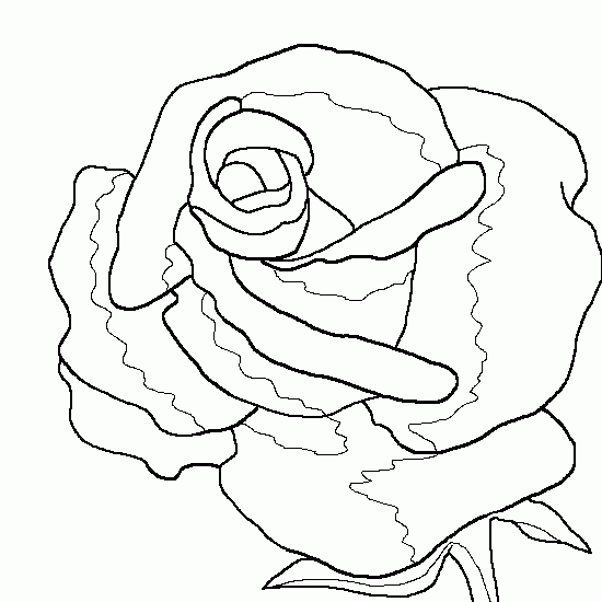 Flores #27836