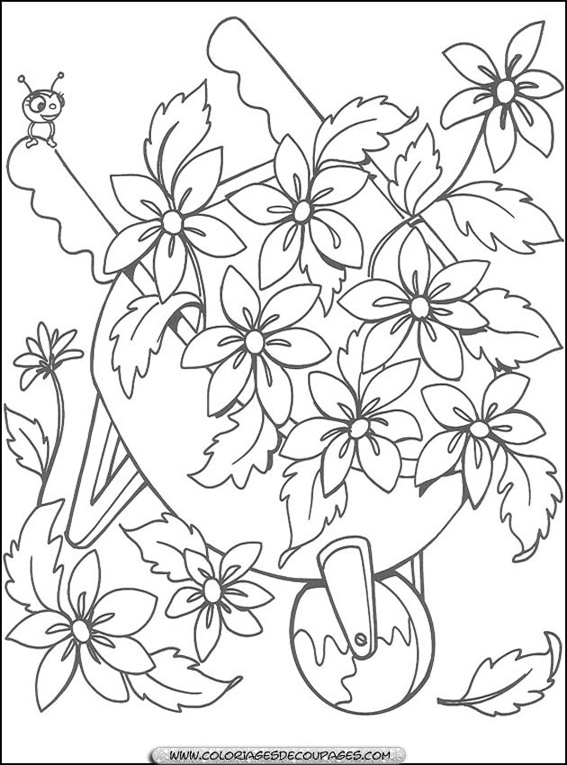 Flores #27837