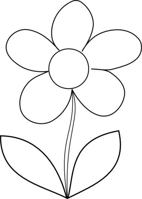 Flores #27849