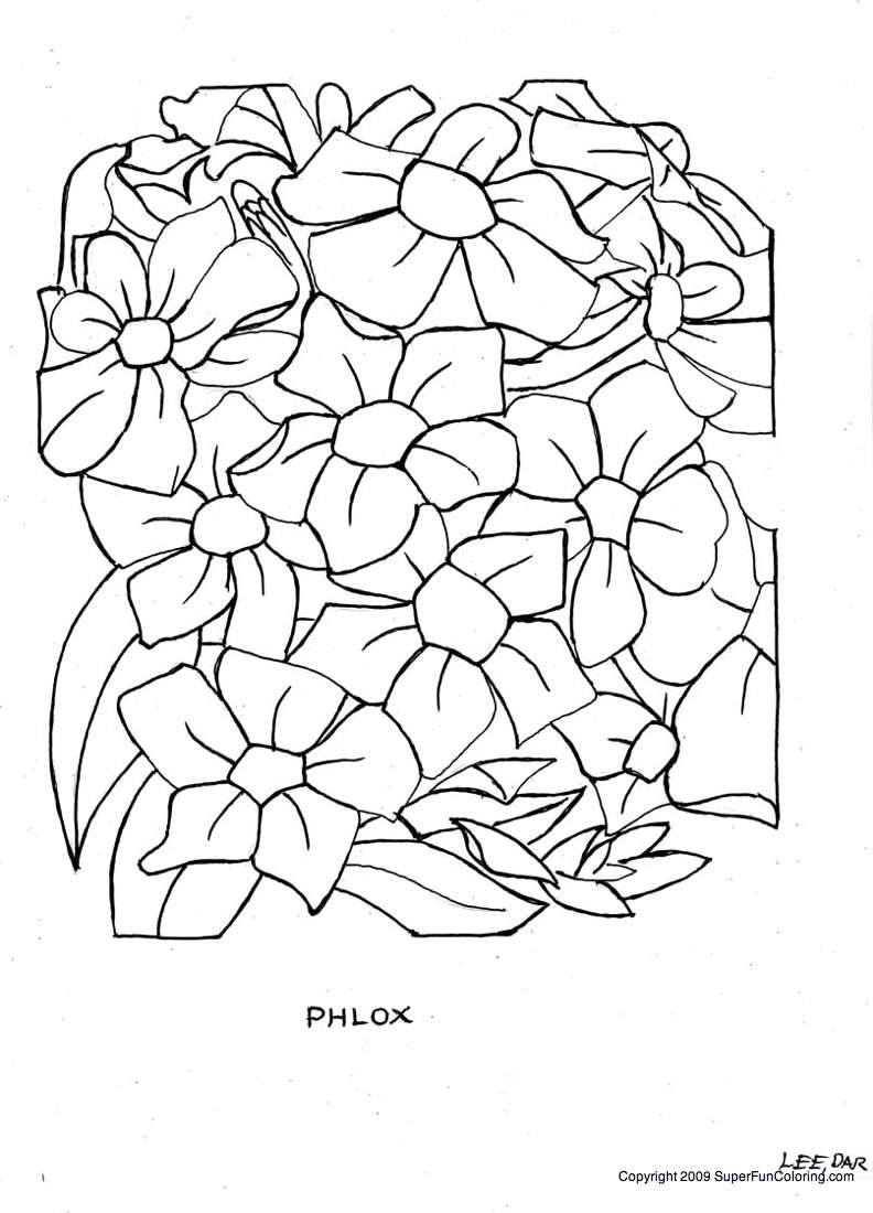 Flores #27852