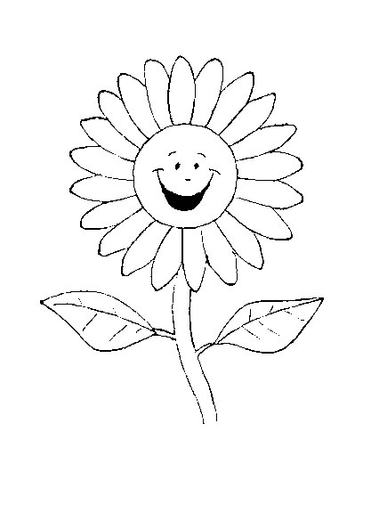 Flores #27862