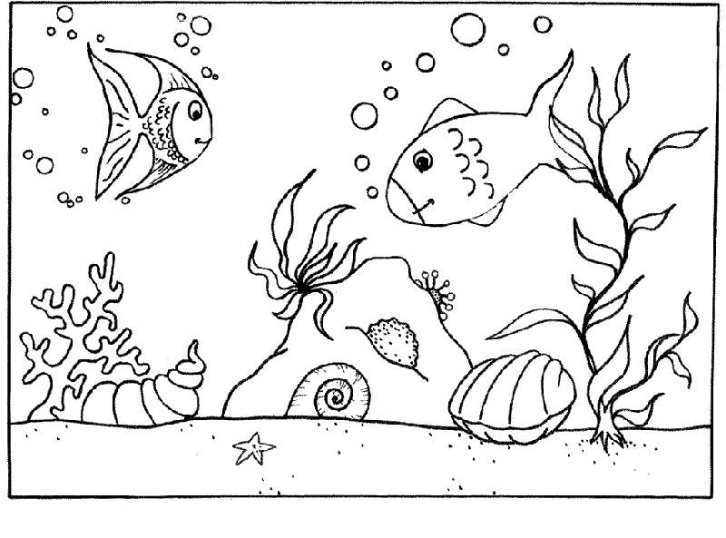 Fondo del mar #27875