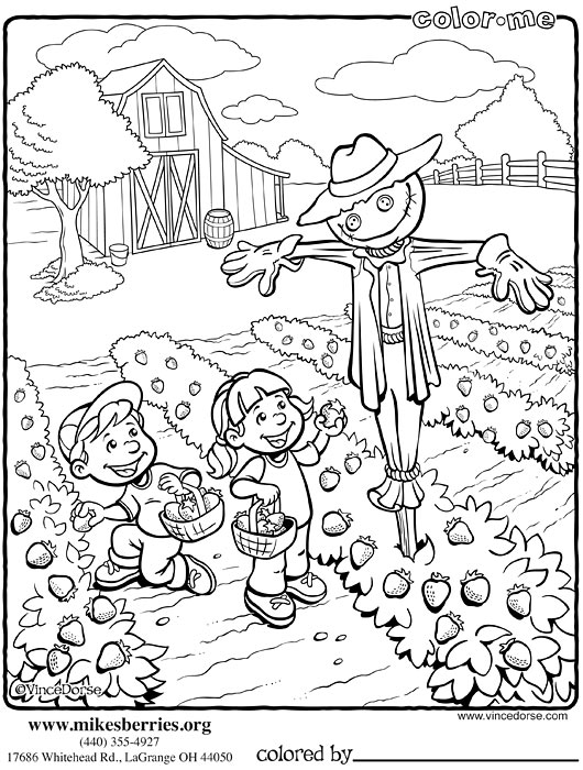 Jardín #27941