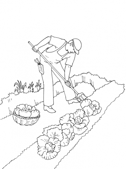 Jardín #27957