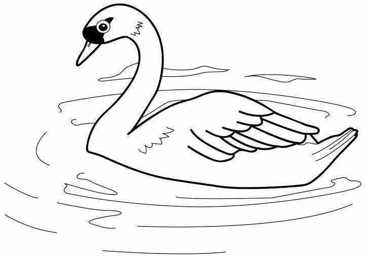 Lago #28024
