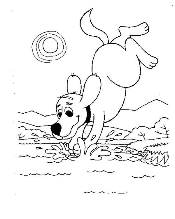 Lago #28026