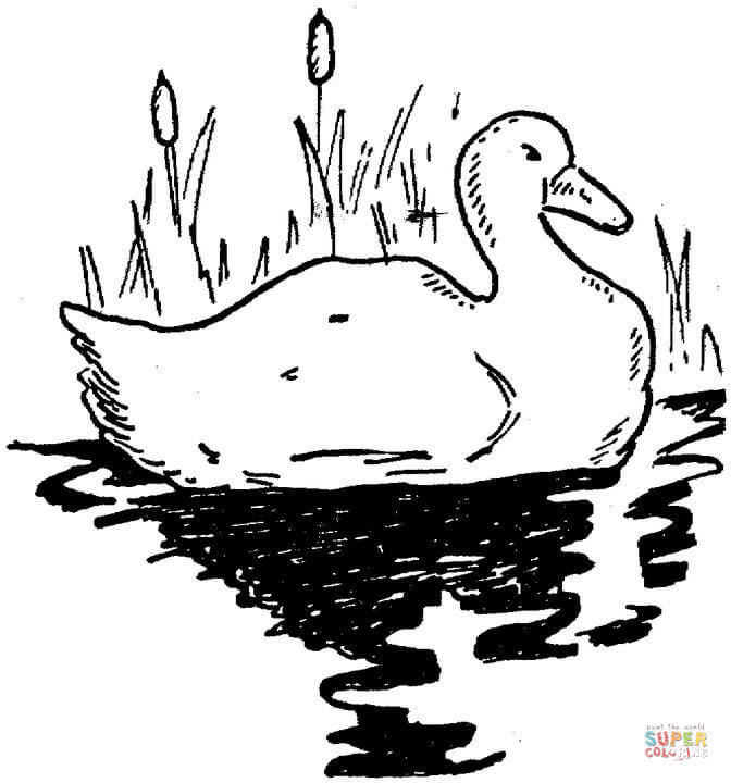 Lago #28033