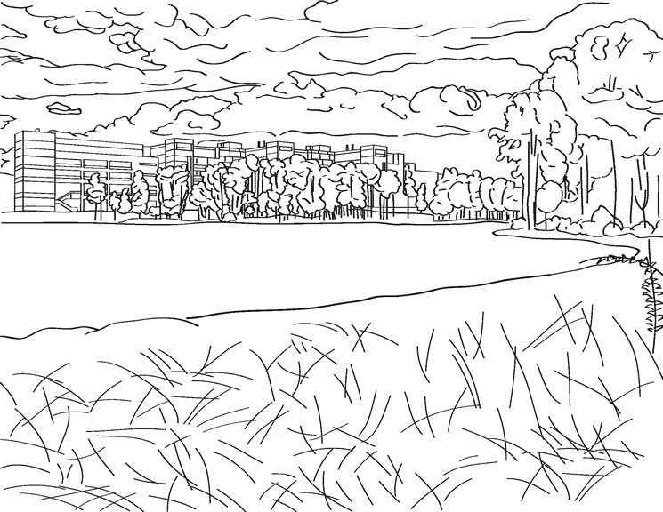 Lago #28042