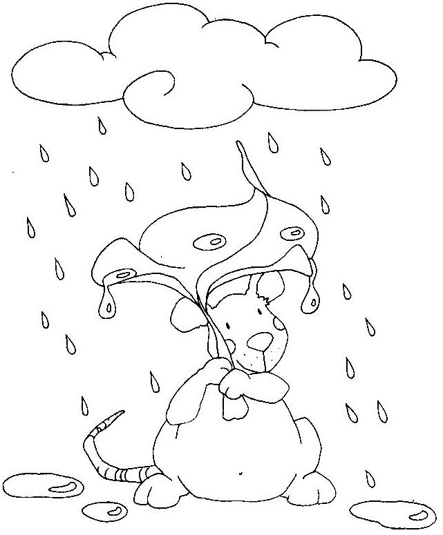 lluvia #28129