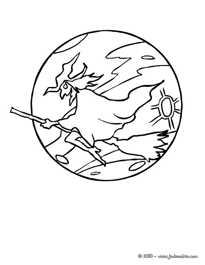 Luna #28244