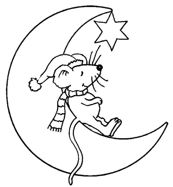 Luna creciente #28255